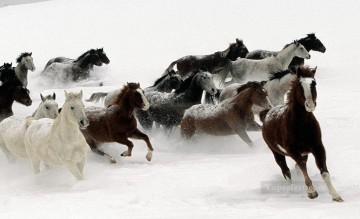 馬 Painting - 雪の上で馬を走らせる